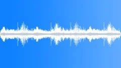 BIRD,SEAGULLSound Effect