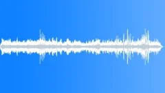BIRD,SEA,GULLSound Effect