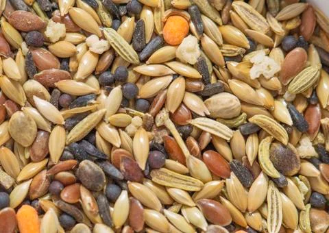 Birdseed - background with a lot of structure Stock Photos
