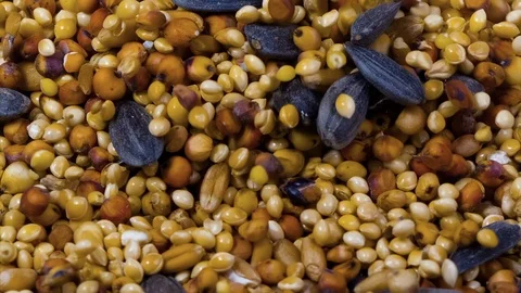 Birdseed falling on a heap Super Slow Motion 1500fps Macro Stock Footage 119415095