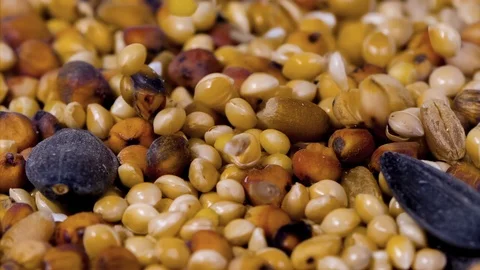Birdseed mix falling on a heap Super Slow Motion 1500fps Macro Stock Footage 119415299