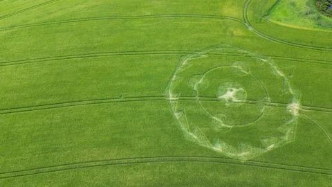 Birdseye aerial view above precise geometric crop circle in lush grassy Stock Footage 202914837