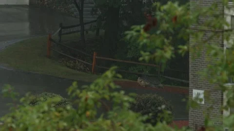 Birdseye View of Rain Storm Stock Footage 40845435