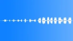 Birdsong at Dawn 2 Sound Effect