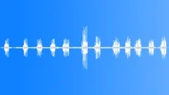 Birdsong at Dawn Sound Effect