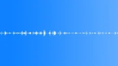Birdsong In Park With Horse Trotting PastSound Effect