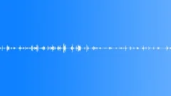 Birdsong In Park Sound Effect