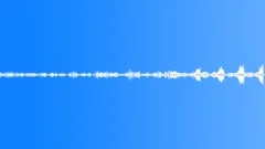 Birdsong. Spring.Sound Effect