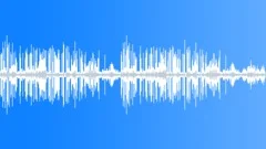 Birdsong Summer Morning 4Sound Effect