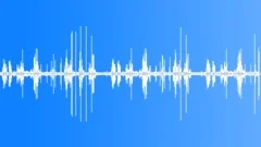 Birdsong Summer Morning 5 Sound Effect