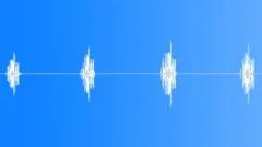 BIRD,SONG,SPARROWSound Effect