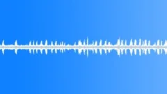 Birds,Residential,Port Perry,Chirps Sound Effect
