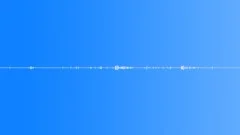 Birds,Suburbs,Sourthern Ontario,Spring,Lite 1 Sound Effect