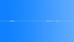 Birds,Suburbs,Sourthern Ontario,Spring,Lite 2 Sound Effect