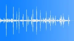 BIRDS,VARIOUSSound Effect