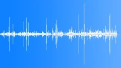 BIRDS,VARIOUSSound Effect