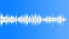 BIRDS,VARIOUSSound Effect