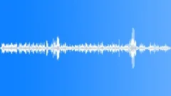 BIRDS,VARIOUSSound Effect