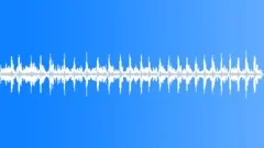 BIRDS,VARIOUSSound Effect