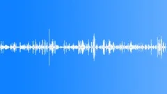 BIRDS,VARIOUS Sound Effect