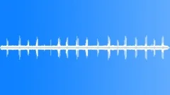 BIRDS,VARIOUSSound Effect