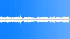 BIRDS,VARIOUS Sound Effect