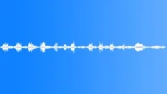 BIRDS,VARIOUS Sound Effect