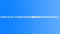 BIRDS,VARIOUS Sound Effect