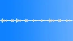 BIRDS,VARIOUSSound Effect