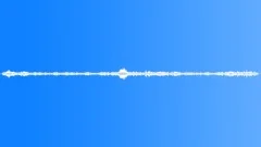 BIRDS,VARIOUS Sound Effect