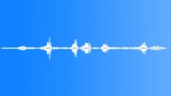 BIRDS,VARIOUS Sound Effect