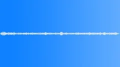 BIRDS,VARIOUS Sound Effect