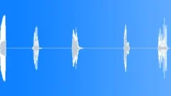 BIRDS,VARIOUS Sound Effect