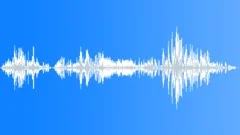 BIRDS,VARIOUSSound Effect
