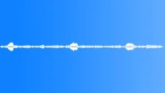 BIRDS,VARIOUS Sound Effect