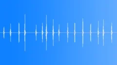 BIRD,TAWNY,OWL Sound Effect