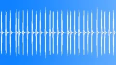 BIRD,TENGMALMS,OWL Sound Effect