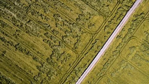 Birdview on a field 写真素材