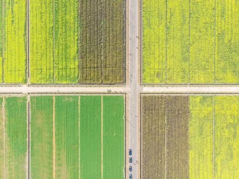 A birdview of fields Foto stock