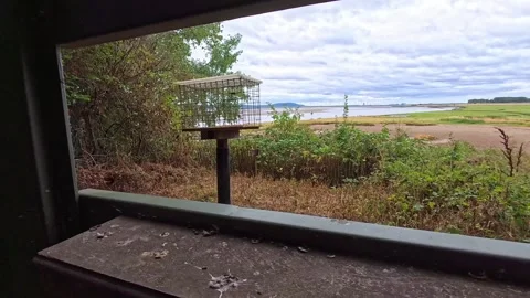 Birdwatching hide looking out onto waterfront marshland on the Mersey estuary Stock Footage 342342188