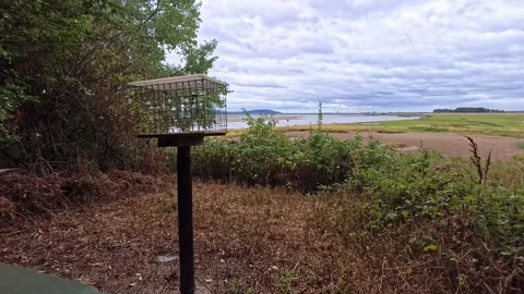 Birdwatching hide watching waterfront marshland reverse through window Stock Footage 342342151
