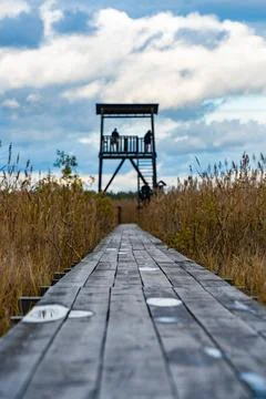 Birdwatching Tower in Karelian Wetlands with Dramatic Sky Stock Photos