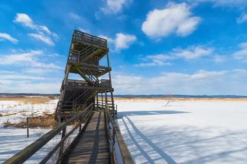 Birdwatching tower Foto stock