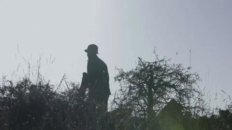 Birdwatching01 01555059 Stock Footage 145713898