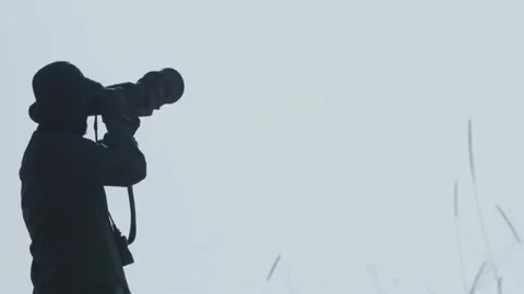 Birdwatching01 01558065 스톡 동영상 145713870