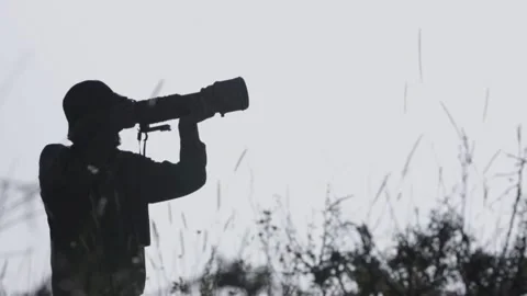 Birdwatching01 01559771 스톡 동영상 145713798
