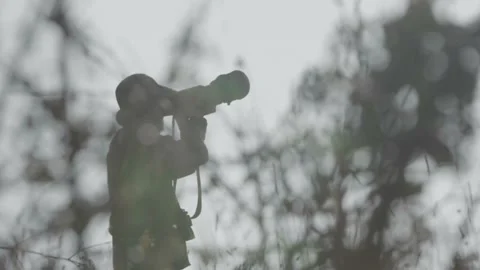 Birdwatching01 01562736 스톡 동영상 145713776