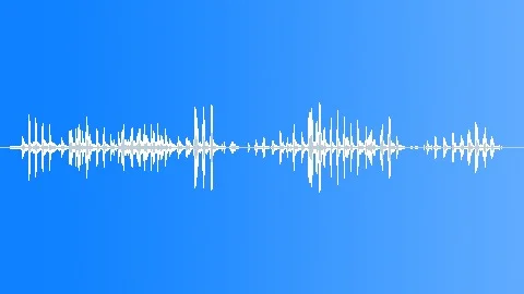 BIRD,WILD,TURKEY Sound Effect