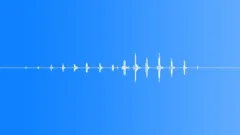 Bird,Wing Flaps,Fly By 4Sound Effect