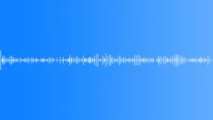Bird,Wing Flaps,Fly,Steady 2Sound Effect